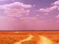 Namibia Road